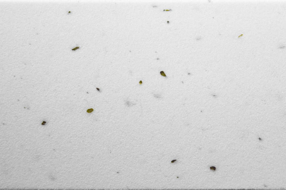 Cube Lenkerband Cork white