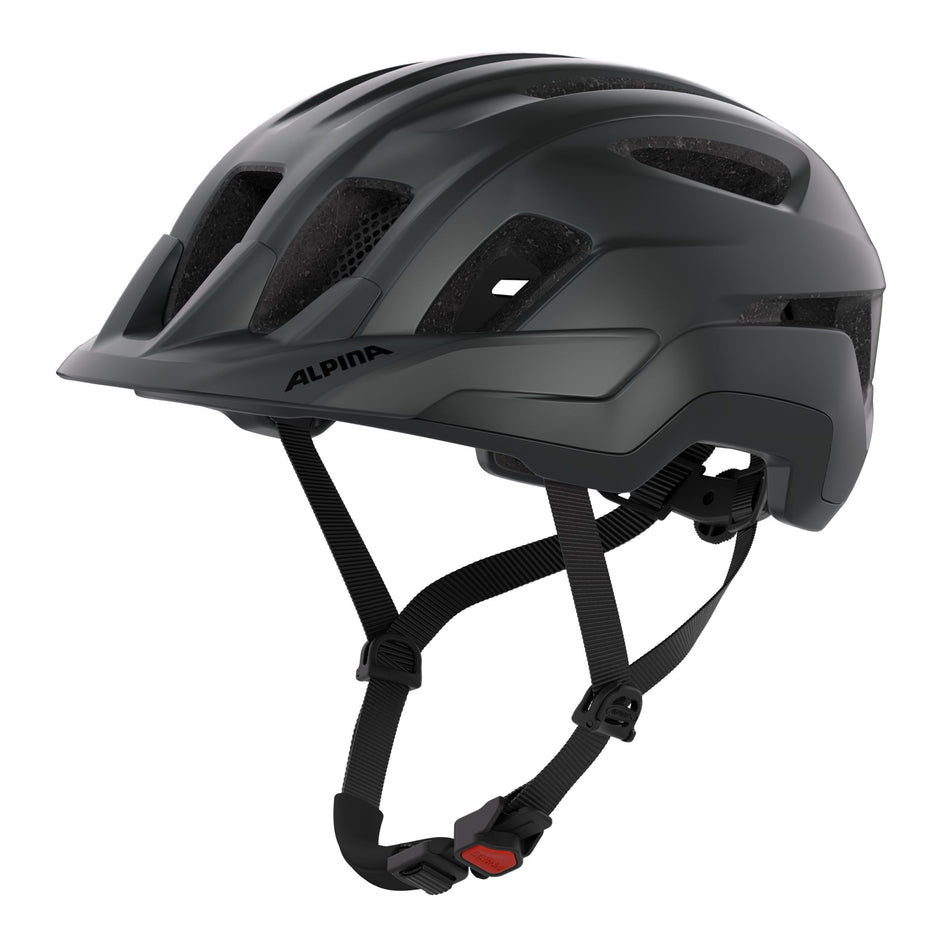 Alpina Paranus Helm black matt