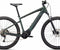 Specialized Turbo Tero HT 3.0 NB 530 Wh E-Bike Hardtail Diamant 29" oak green metallic/smoke
