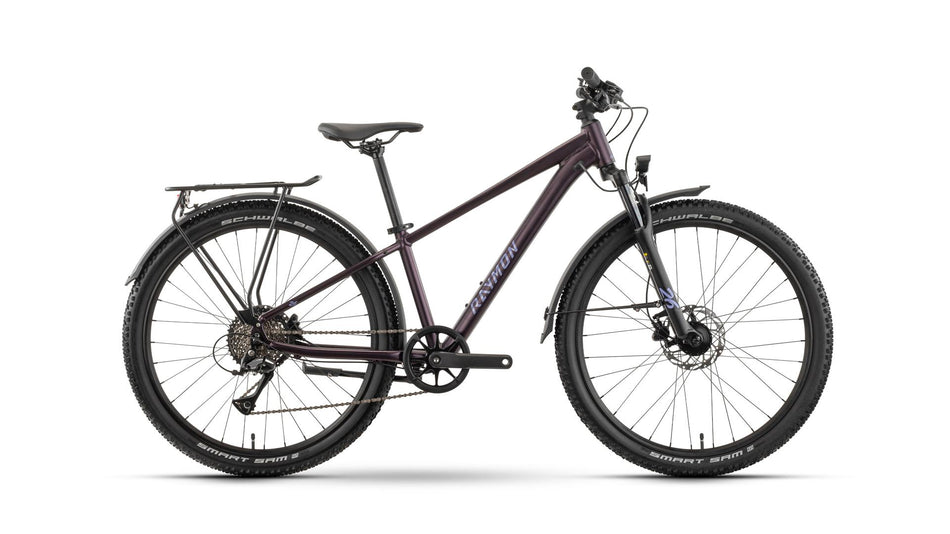 Raymon Nayta Pro Street Jugendrad Diamant 26" floridplum one size