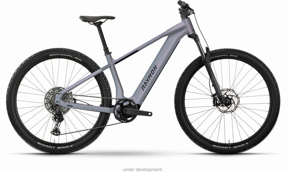 Raymon Zorq Elite 800 Wh E-Bike Hardtail Diamant galaxygrey