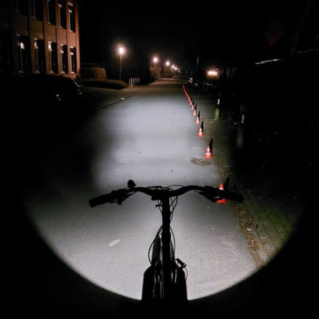 Lunivo e-DIA F170/120 Lux E-Bike Licht-Power mit Fernlicht schwarz