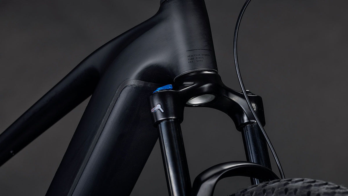 Cube Reaction Hybrid Pro 800 Wh E-Bike Hardtail Diamant blackline – Biketech24