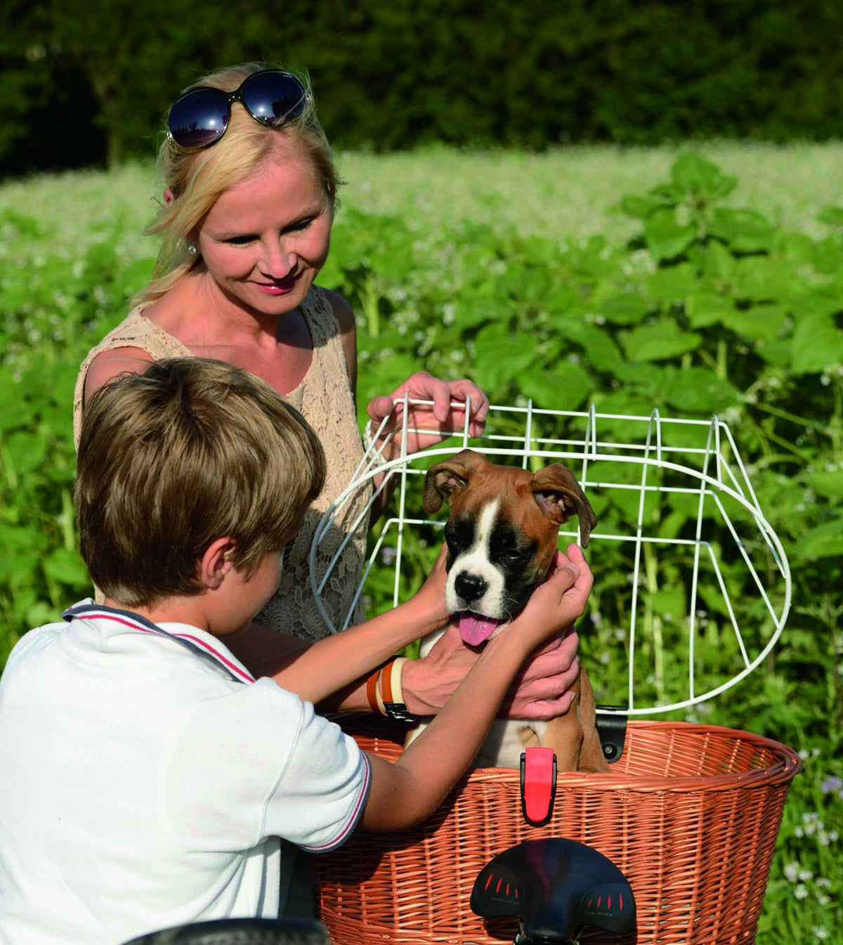 fahrradbrille für hunde KLICKfix Doggy Basket Plus Gepäckträgerkorb für Racktime – Biketech24