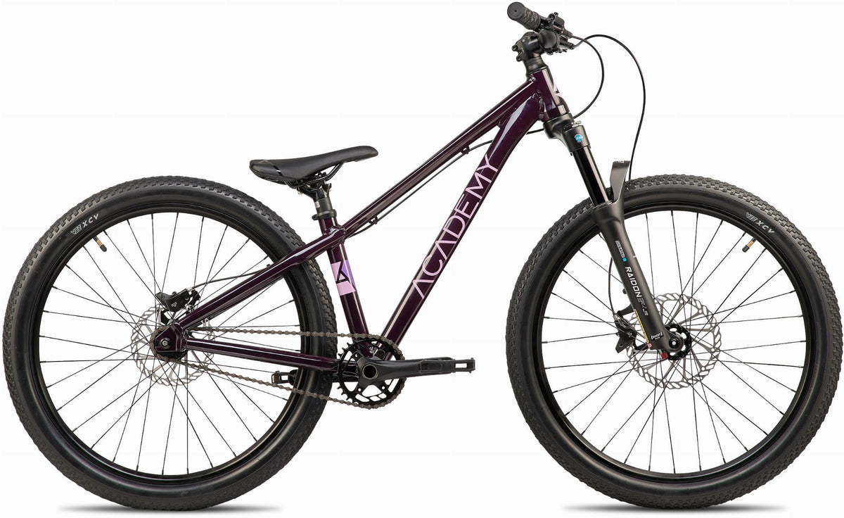 Academy Pump 5 Kinderrad Diamant 24" plum
