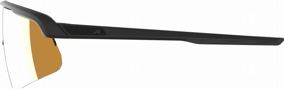 Alpina Turbo Pro S Q Sportbrille black/gold mirror one size