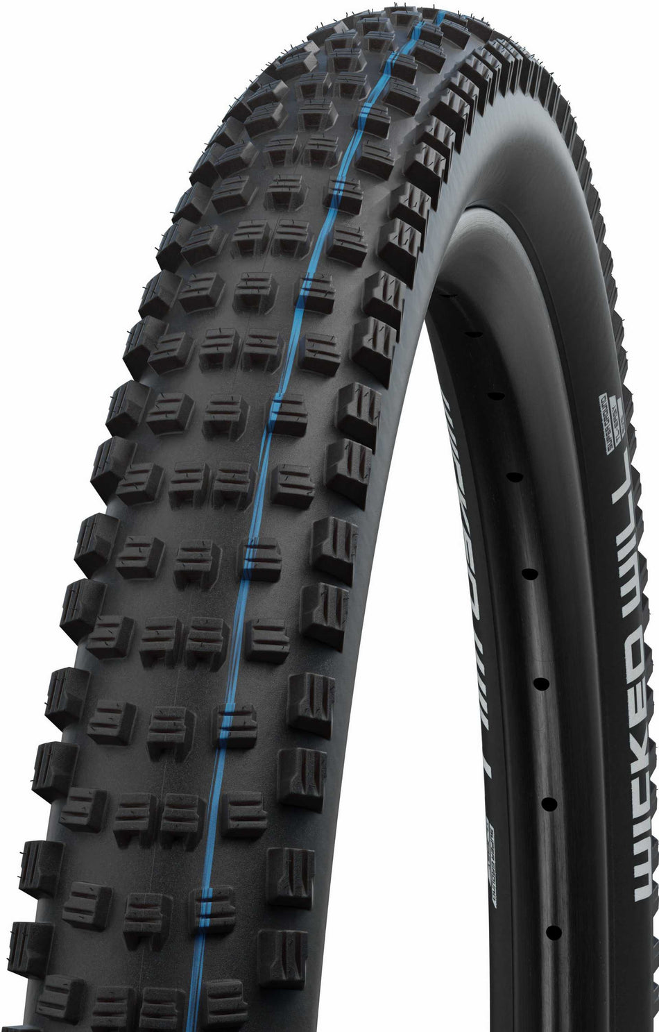 Schwalbe Wicked Will Super Ground, Evolution Line, TLE, SnakeSkin Faltreifen 29" Addix SpeedGrip schwarz